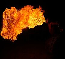 Van Vihar Farm & Resort