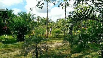 Coconut Valley Bed & Breakfast