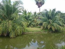 Coconut Valley Bed & Breakfast