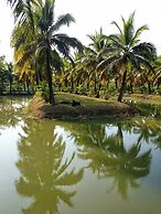 Coconut Valley Bed & Breakfast