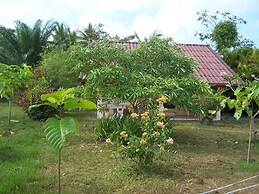 Coconut Valley Bed & Breakfast