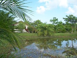 Coconut Valley Bed & Breakfast