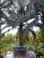 Coconut Valley Bed & Breakfast