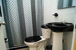 I Wanna Palomino - Hostel