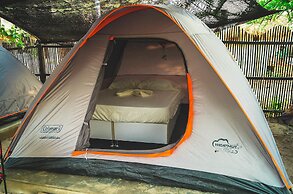 I Wanna Palomino - Hostel