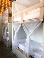 I Wanna Palomino - Hostel