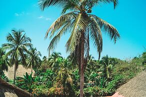 I Wanna Palomino - Hostel