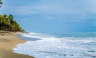 I Wanna Palomino - Hostel