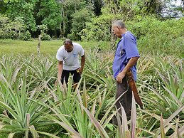 The Tranquilo Lodge - All meals included