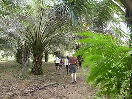 The Tranquilo Lodge - All meals included