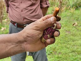 The Tranquilo Lodge - All meals included
