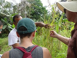 The Tranquilo Lodge - All meals included