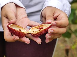 The Tranquilo Lodge - All meals included