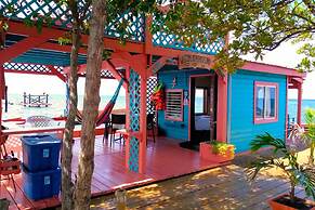 Bird Island Placencia