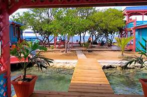 Bird Island Placencia