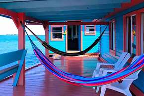 Bird Island Placencia