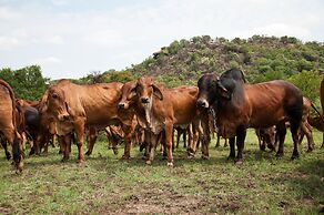 B'sorah Luxury Tent & Venue