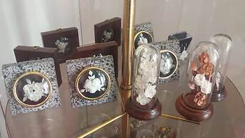 Internacional Azores Boutique