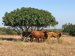 Agroturismo Es Gallicant