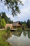 Apartments and wellness center Korošec
