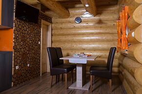 Apartments and wellness center Korošec