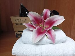 Tom Dick and Harriet's