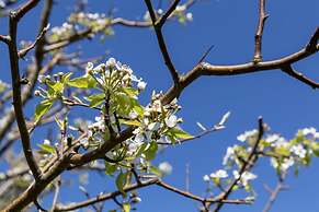 Casa Rural as Bentinas