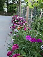 The Gillen House B&B