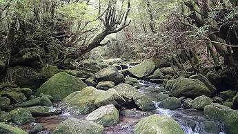 Minshuku Maetakeso - Hostel