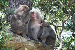 Minshuku Maetakeso - Hostel