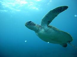 Minshuku Maetakeso - Hostel