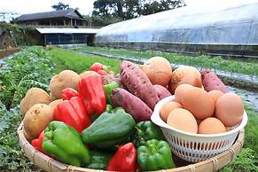 Minshuku Maetakeso - Hostel