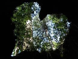 Minshuku Maetakeso - Hostel