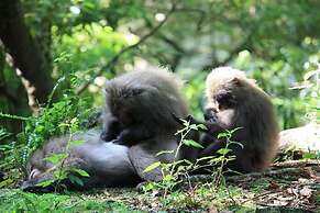 Minshuku Maetakeso - Hostel