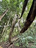 Téva Eco Retreat - Hostel