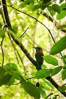 Téva Eco Retreat - Hostel