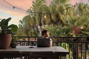 Little Drifter Cairns