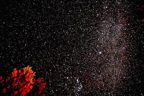 Lake Ruataniwha Holiday Park