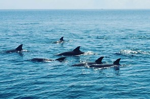 Nuri Boutique Hotel & Villas