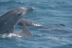 Nuri Boutique Hotel & Villas