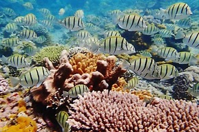 Nuri Boutique Hotel & Villas