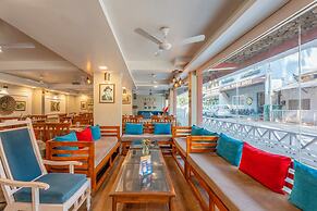 WOW STAYZ2 Misty Meadows