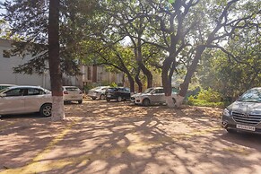 WOW STAYZ2 Misty Meadows