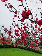 Thousand Islands Lakeview Apartment