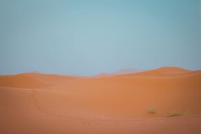 Merzouga Experience Camp