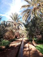 Merzouga Experience Camp