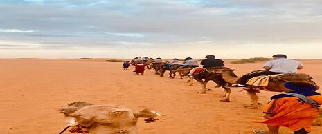 Merzouga Experience Camp