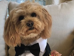 Lilac Rose Boutique Bed and Breakfast