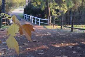 Brockman Park Estate