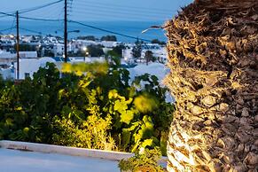 Ancient Thera Apartments